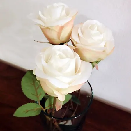 Couette-café Argentina Milan